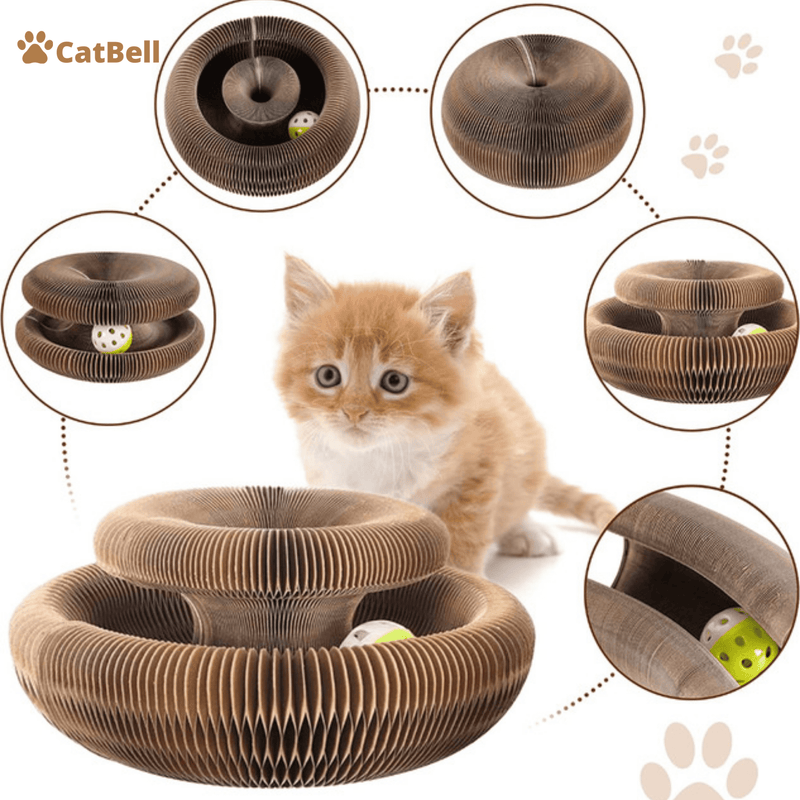 Brinquedo Para Gatos I Cat Bell + Brinde