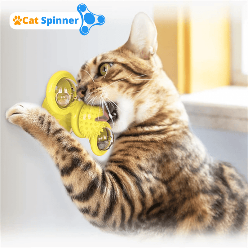 Brinquedo Para Gatos | Cat Spinner + Brinde